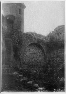 Ołyka, pałac Radziwiłł&oacute;w