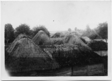 Ołyka, zabudowa drewniana