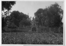 Ołyka, kości&oacute;ł pw. Św.Piotra i Pawła