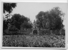 Ołyka, kości&oacute;ł pw. Św.Piotra i Pawła