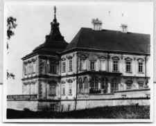 Podhorce, widok pałacu