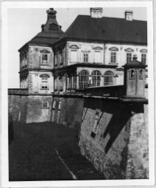 Podhorce, widok pałacu