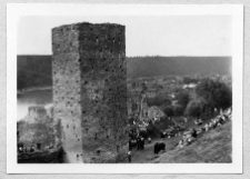 Rakowiec, ruiny zamku