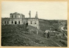 Skała, ruiny pałacu Tarł&oacute;w