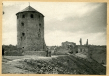 Skała, baszta zamku Lanckorońskich, ruiny pałacu Tarł&oacute;w