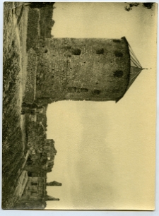 Skała, baszta zamku Lanckorońskich, ruiny pałacu Tarł&oacute;w