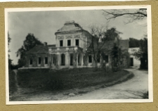 Stanisław&oacute;w, ruiny pałacu