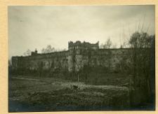 Stare Sioło, zamek Potockich