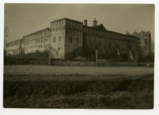 Stare Sioło, zamek Potockich