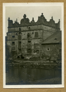 Stare Sioło, zamek Potockich