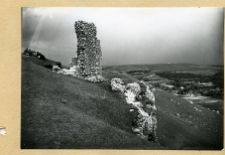 Stary Zbaraż, ruiny zamku