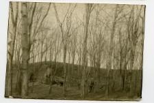 Stepań, ruiny pałącu Worcel&oacute;w