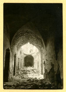 Trembowla, ruiny zamku