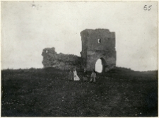 Krzemieniec, zamek