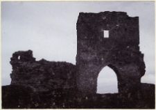 Krzemieniec, zamek