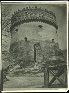 Ostr&oacute;g, zamek