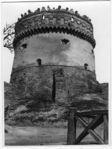 Ostr&oacute;g, zamek