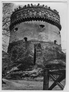 Ostr&oacute;g, zamek