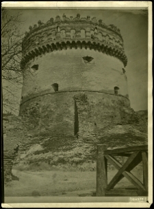 Ostr&oacute;g, zamek