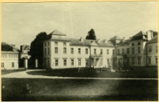 Wiśniowiec, pałac