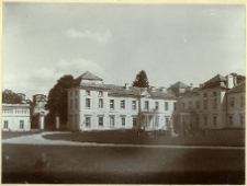 Wiśniowiec, pałac