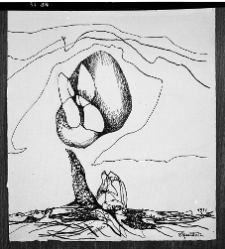Rosenstein, Erna, 1971, rysunek
