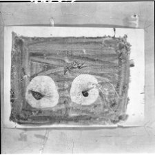 Rosenstein, Erna, kompozycja, 1955