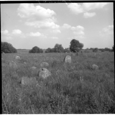 Jan&oacute;w, cmentarz, macewy.