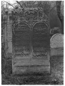 Krak&oacute;w, cmentarz przy bożnicy Remu, macewa z dwiema tablicami.