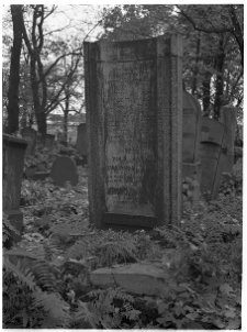 Krak&oacute;w, cmentarz żydowski przy ul. Miodowej, gr&oacute;b rodziny Birnbaum&oacute;w.