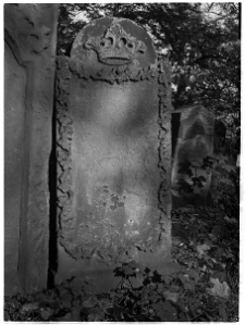 Krak&oacute;w, cmentarz żydowski przy ul. Miodowej, macewa z koroną Tory.