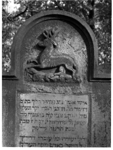 Krak&oacute;w, cmentarz żydowski przy ul. Miodowej, macewa, część g&oacute;rna.