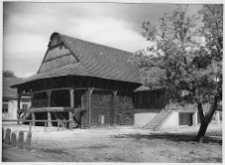 Pilica, synagoga, widok od południowego zachodu.