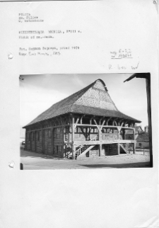 Pilica, synagoga, widok od północnego zachodu.