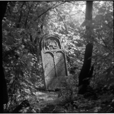 Rymanów, cmentarz żydowski, macewa.